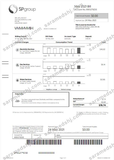 SINGAPORE SP GROUP utility bill Word and PDF template